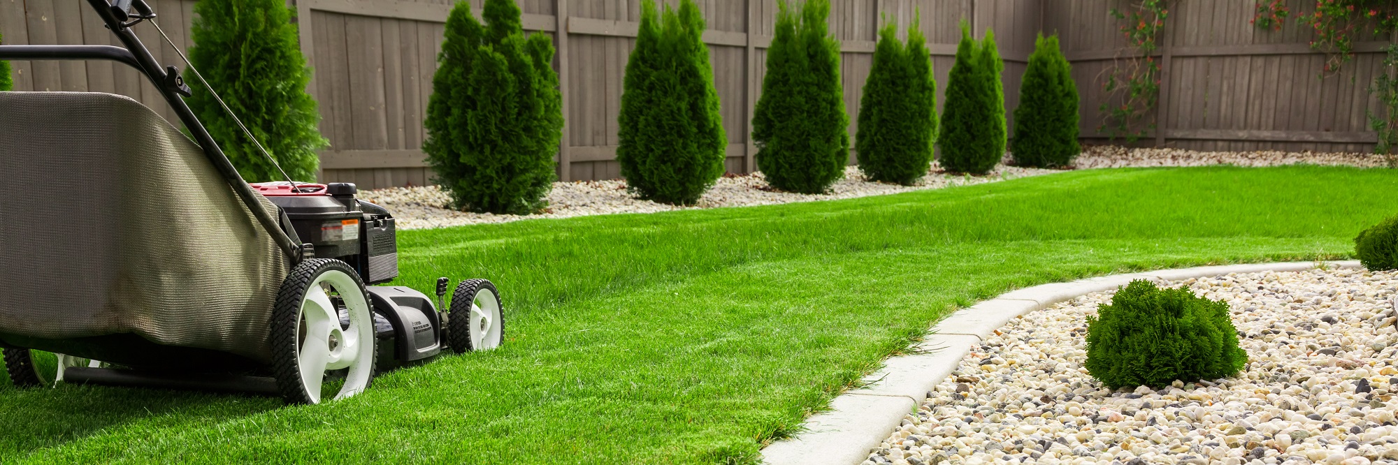 Lawn mower on green lawn